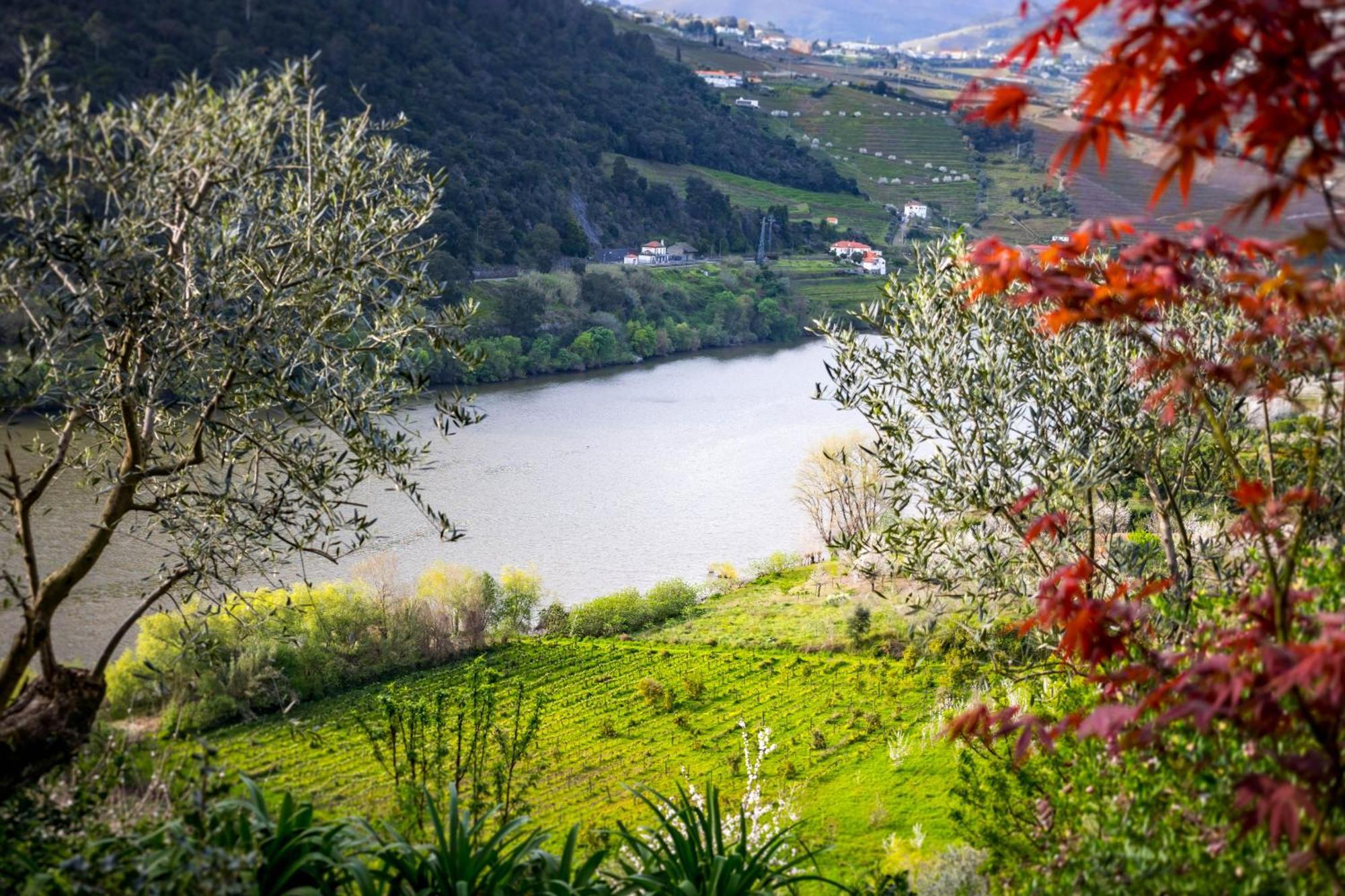 Fraga Douro House, Douro Valley Resende Bagian luar foto